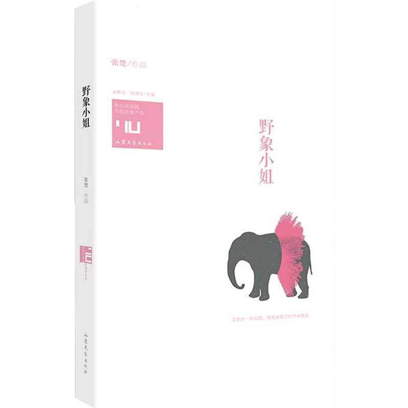 【正版书】 身份共同体·70后作家大系:野象小姐 张楚作品 山东文艺出版社