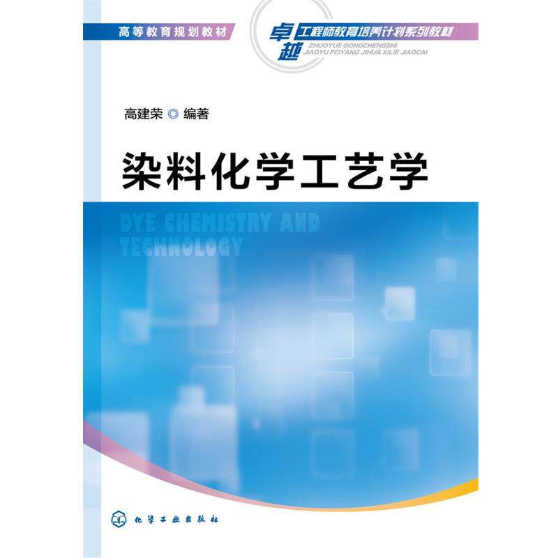 【正版书】 染料化学工艺学 高建荣 编著 化学工业出版社