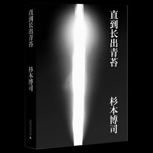 【正版书】直到长出青苔