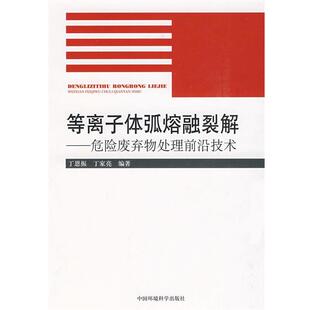 【正版书】 等离子体弧熔融裂解 丁恩振,丁家亮 编著 中国环境出版社