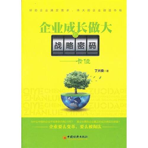 【正版书】 企业成长做大的战略密码 丁兴良　著 中国经济出版社