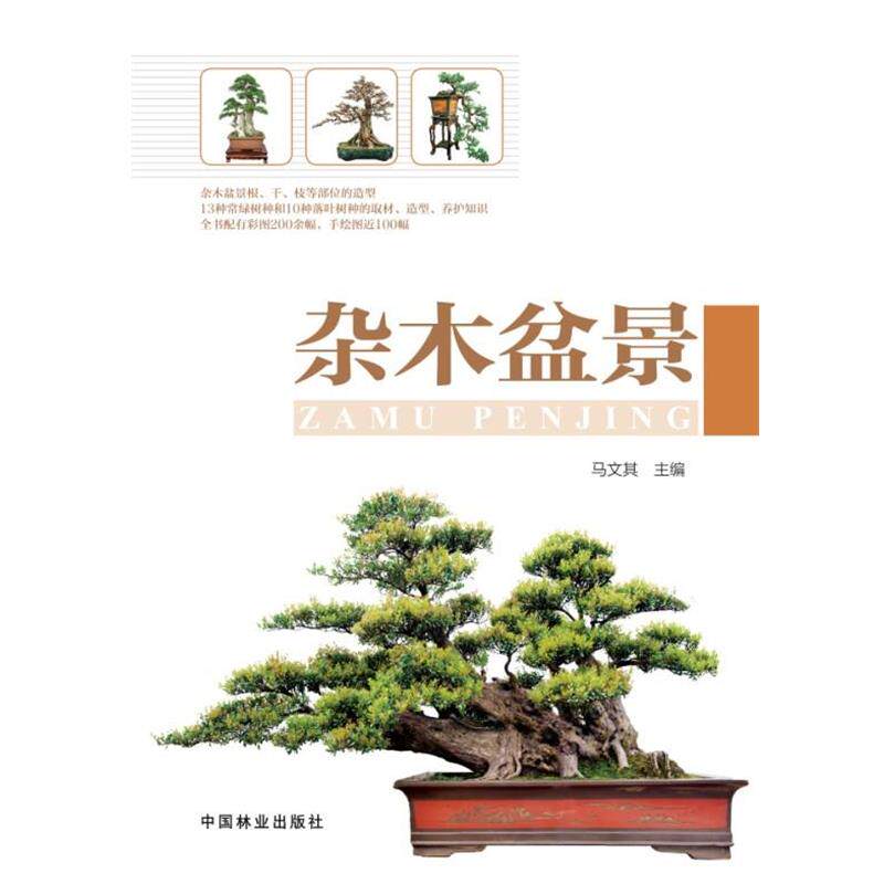 【正版书】 杂木盆景 马文其 著 中国林业出版社