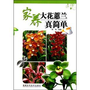 【正版书】 家养大花蕙兰真简单 陈璋 福建科技出版社