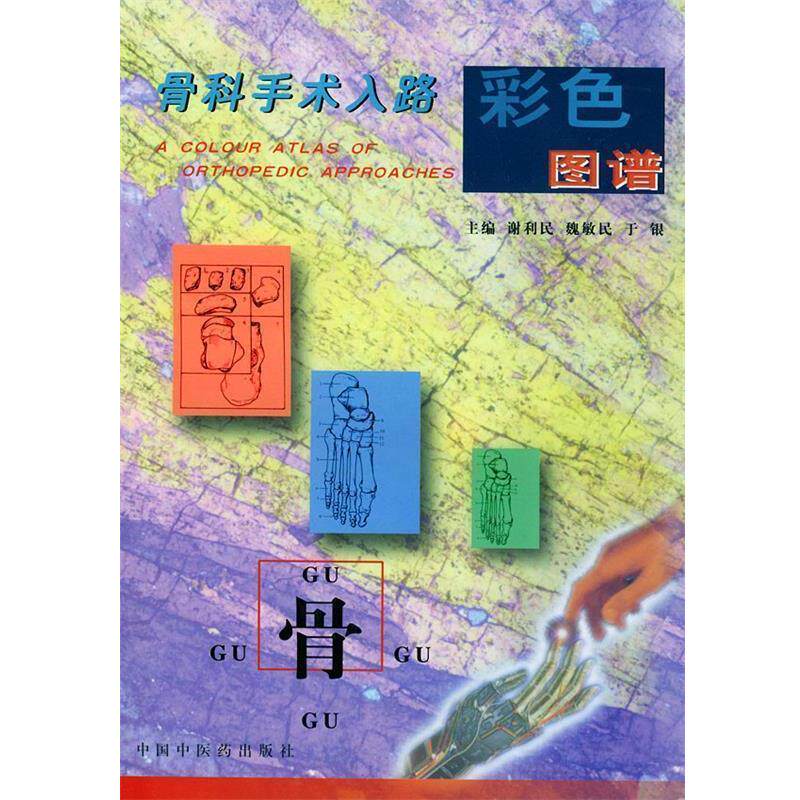 【正版书】 骨科手术入路彩色图谱 谢利民 主编 中国中医药出版社