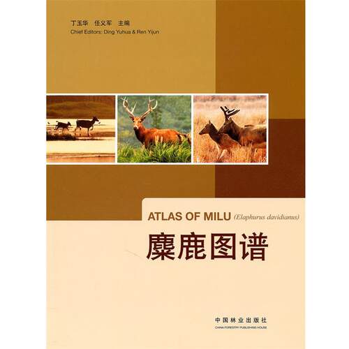 【正版书】 麋鹿图谱 丁玉华,任义军　主编 中国林业出版社