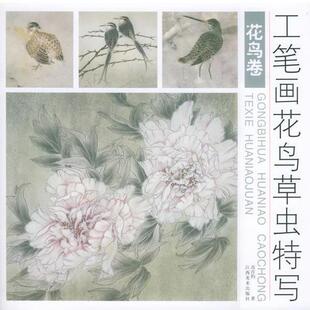 【正版书】 工笔画花鸟草虫特写·花鸟卷 苏百钧 著 江西美术出版社