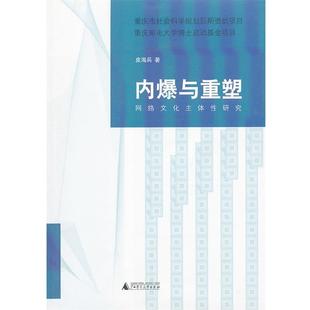 【正版】内爆与重塑 网络文化主体性研究 皮海兵