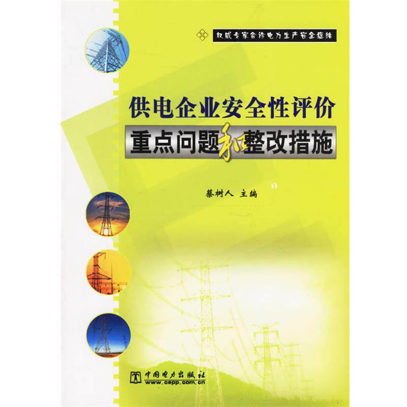 【正版】供电企业安全性评价重点问题和整改措施 蔡树人