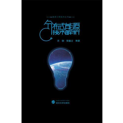 【正版书】 分布式能源技术解析 肖钢,张敏吉 著 武汉大学出版社