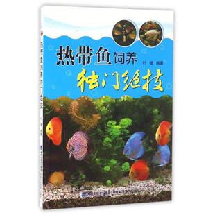 【正版书】 热带鱼饲养独门绝技 叶键 福建科技出版社