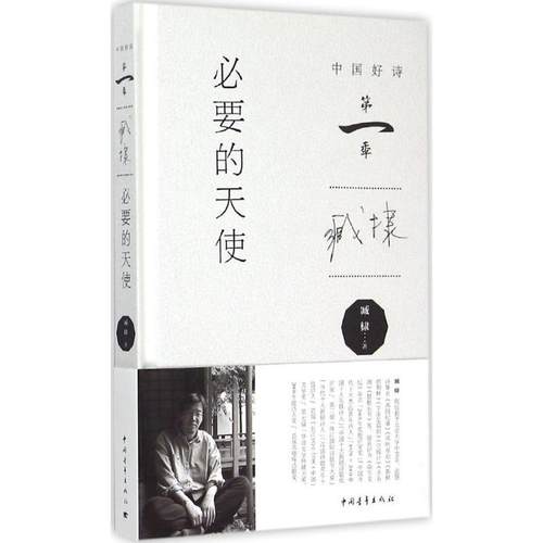 【正版】必要的天使 臧棣