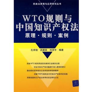 【正版书】 WTO规则与中国知识产权法:原理·规则·案例 孔祥俊,武建英,刘泽宇 编著 清华大学出版社