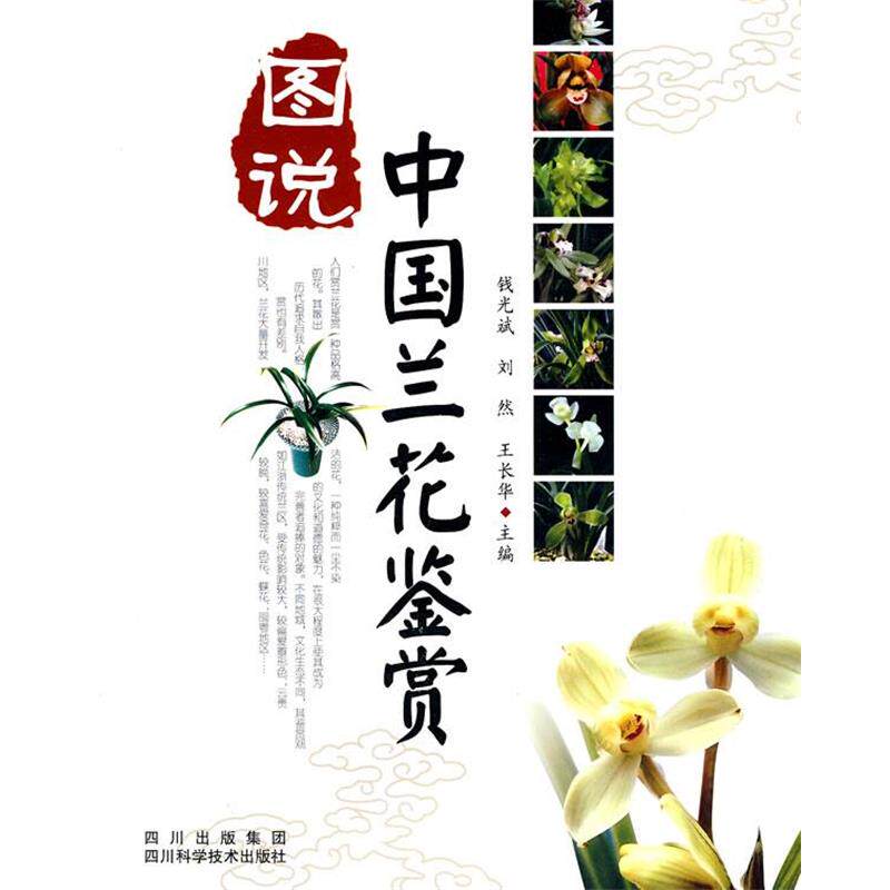 【正版书】 图说中国兰花鉴赏 钱光斌 四川科技出版社