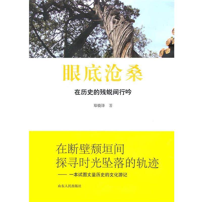 【正版书】 眼底沧桑 郑骁锋 著 山东人民出版社