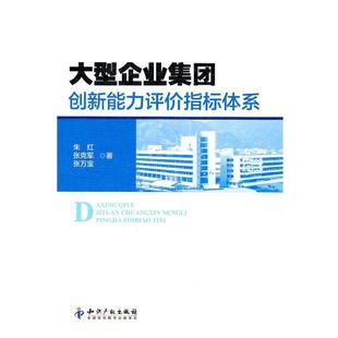 【正版书】 企业集团创新能力评价指标体系 宋红,张克军,张万宝 知识产权出版社
