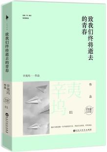 正版 致我们终将逝去 青春 辛夷坞