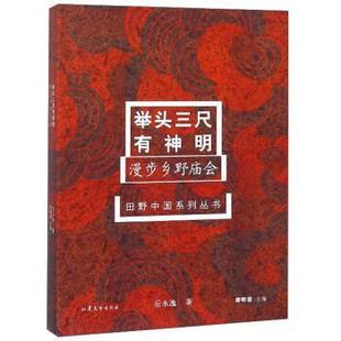 漫步乡野庙会 举头三尺有神明 田野中国系列丛书 岳永逸 正版