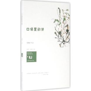 诗 口袋里 宇向 正版