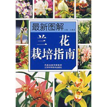 【正版】新图解兰花栽培指南 王意成