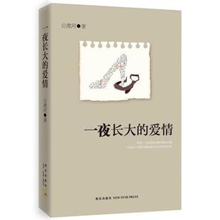 【正版书】 一夜长大的爱情 公渡河 著 新星出版社