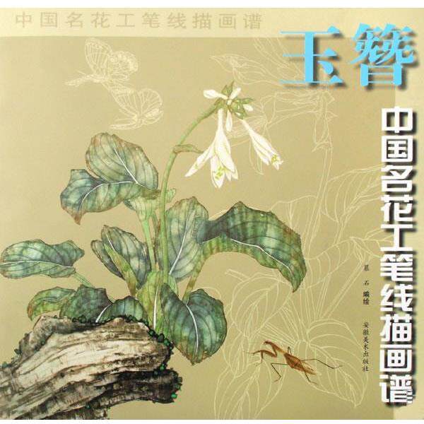 【正版书】 中国名花工笔线描画谱-玉簪 慕石 编绘 安徽美术出版社