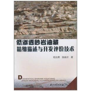 【正版书】 低渗透砂岩油藏精细描述与开发评价技术 程启贵,陈恭洋 著 石油工业出版社