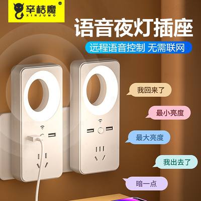 插头声控灯多功能带usbUSB