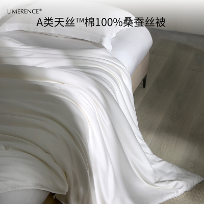 桑蚕丝被100%双宫茧长丝优质被芯