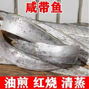 高质量/半干正宗咸带鱼山东海鲜咸鱼野生咸带鱼自然带海带鱼500g