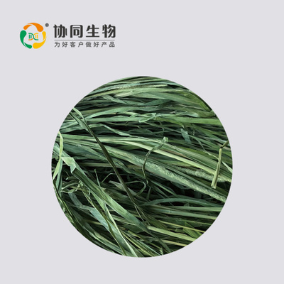 协同生物实验兔实验用提摩西干草辐照灭菌500g*10袋/箱整箱起售