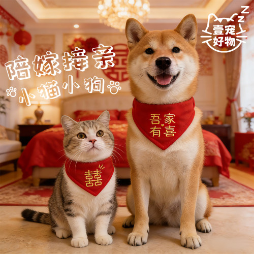 宠物陪嫁装饰猫咪新婚出片围兜狗狗口水巾结婚装扮红色喜庆项圈