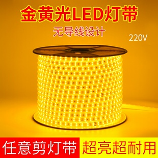 LED灯带超亮金黄光20公分一剪 户外工程亮化景观照明220v防水灯条