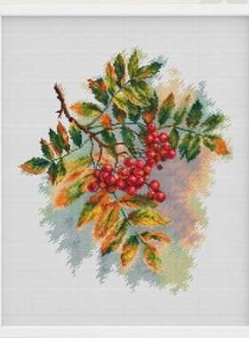 公主绣铺DMC自配套件纯棉线精准印花套件221117秋叶