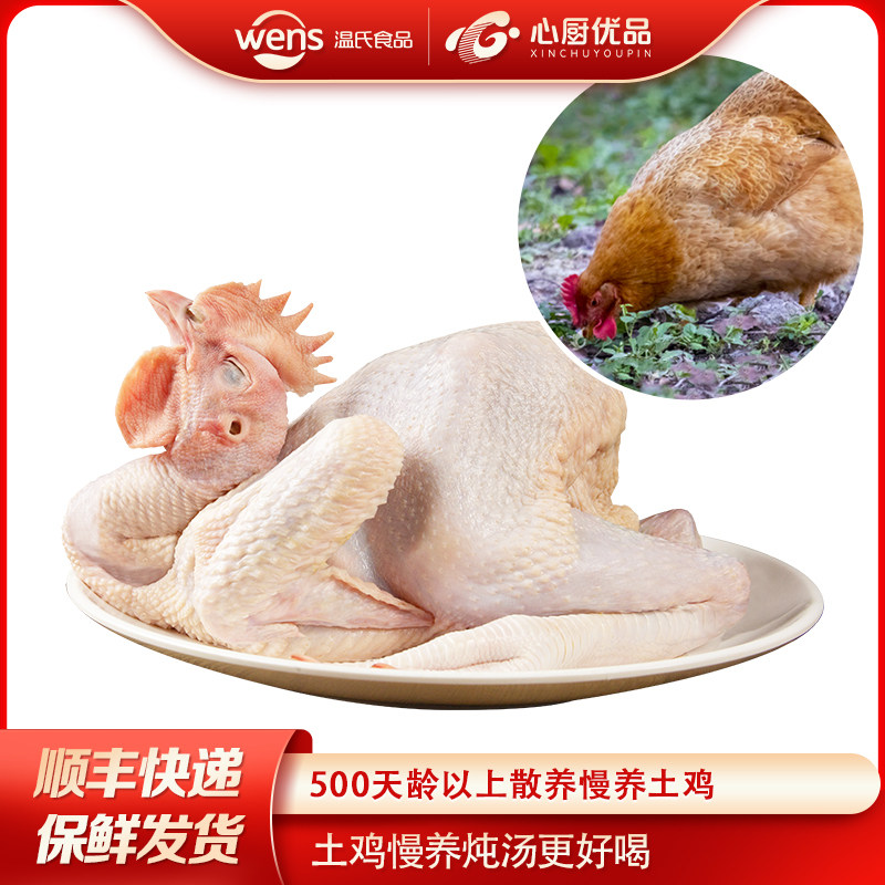 温氏天露老母鸡 农家散养土鸡走地笨鸡月子鸡炖汤散养500天以上
