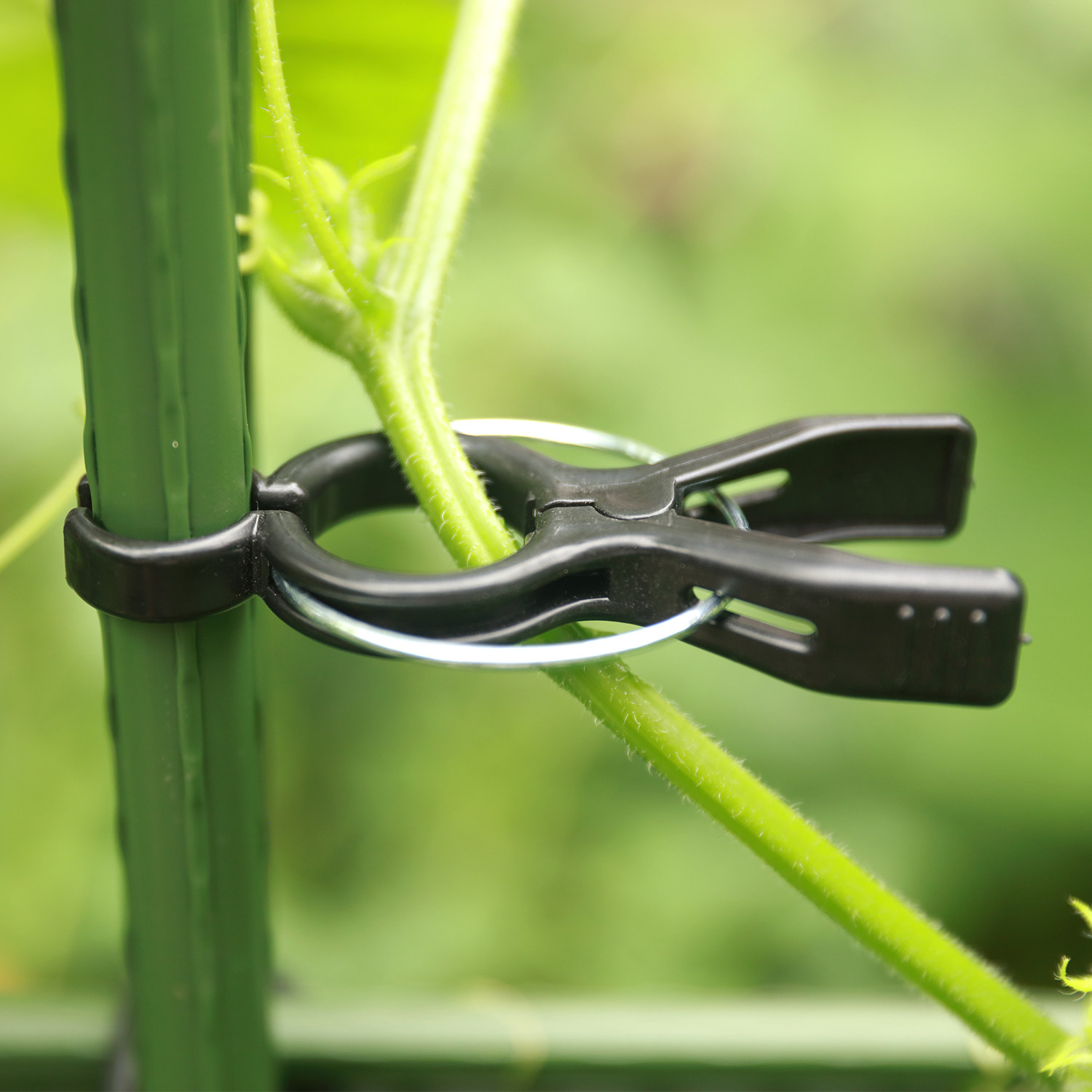 番茄夹西红柿吊秧夹黄瓜大棚夹子爬藤架子支撑杆种菜爬藤架固定器,鲜花速递/花卉仿真/绿植园艺,其它园艺用品,淘宝优惠券,粉丝福利购,淘宝优惠卷