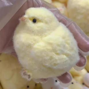 Toys Ultra Soft Chick Fidget Squishy Squeeze rua泥感鸡 Taba