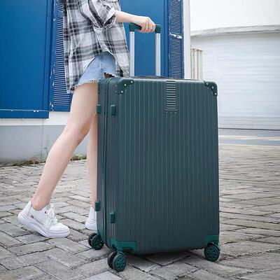 Large Suitcase Big Travel Bag 28 inch Case Luggage Trolley