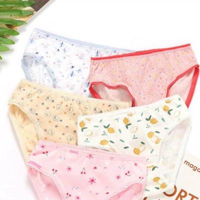 Hot Sale 6 Pcs/lot Baby Kids Girls Underwear Briefs Panties1