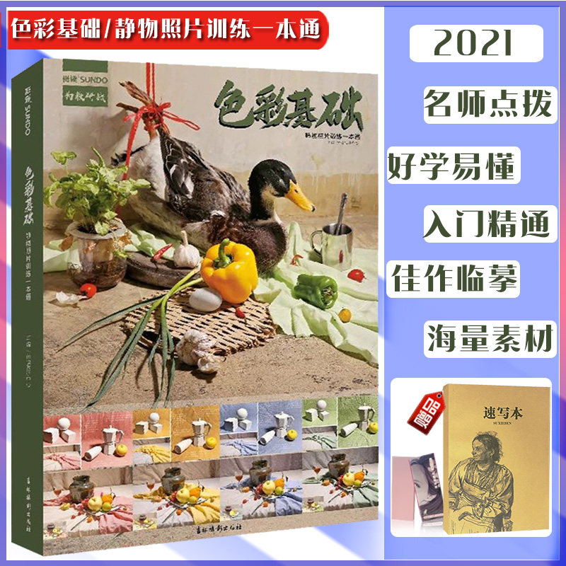 色彩基础静物照片训练一本通 2021尚读单体组合水果蔬菜花卉杂物色彩