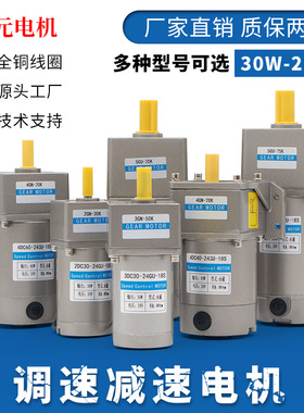12V24V直流减速电机30W60W90W120W300W400W大扭矩齿轮调速小马达