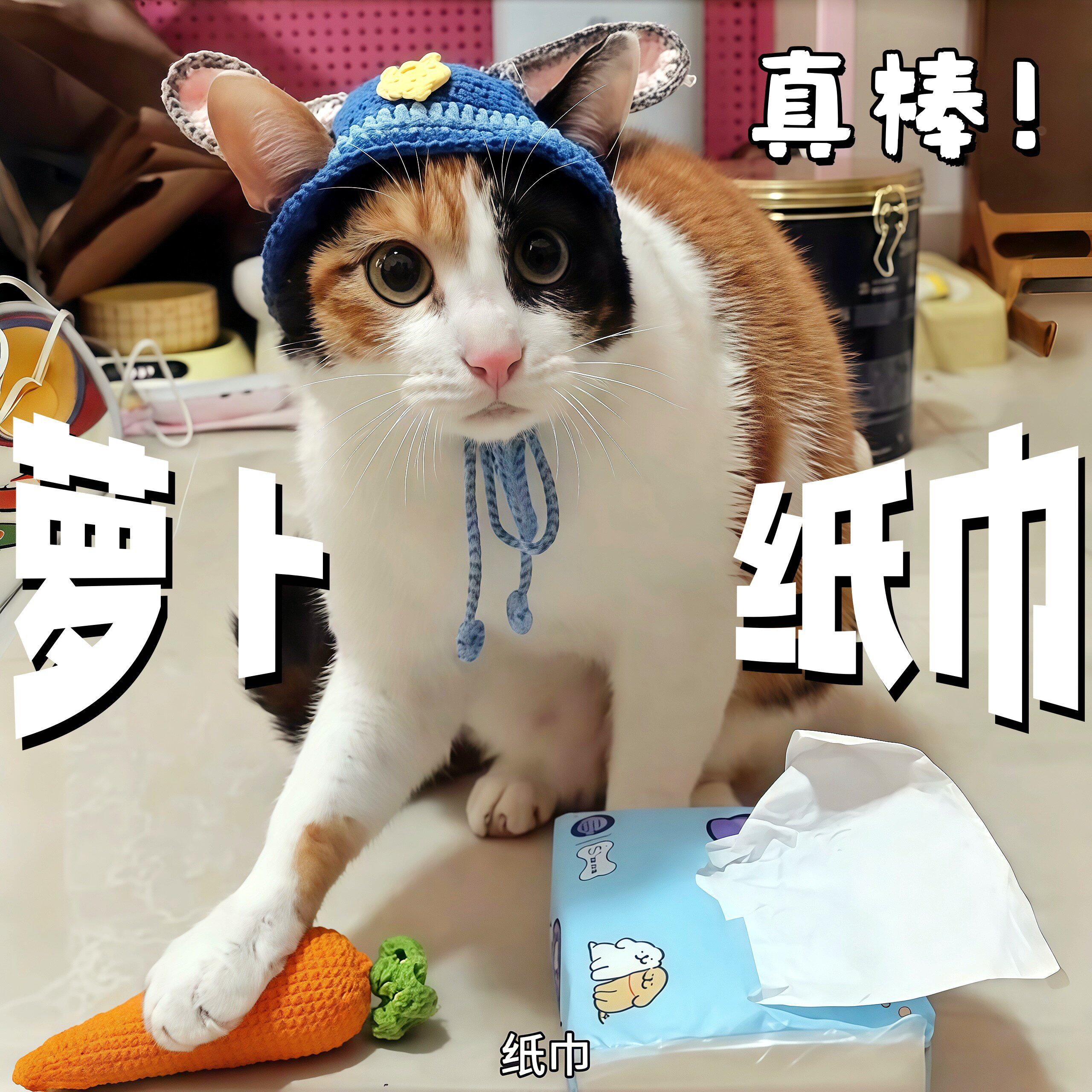 萝卜纸巾猫咪帽子可爱搞怪小兔子警官针织帽diy手工钩织小猫头套