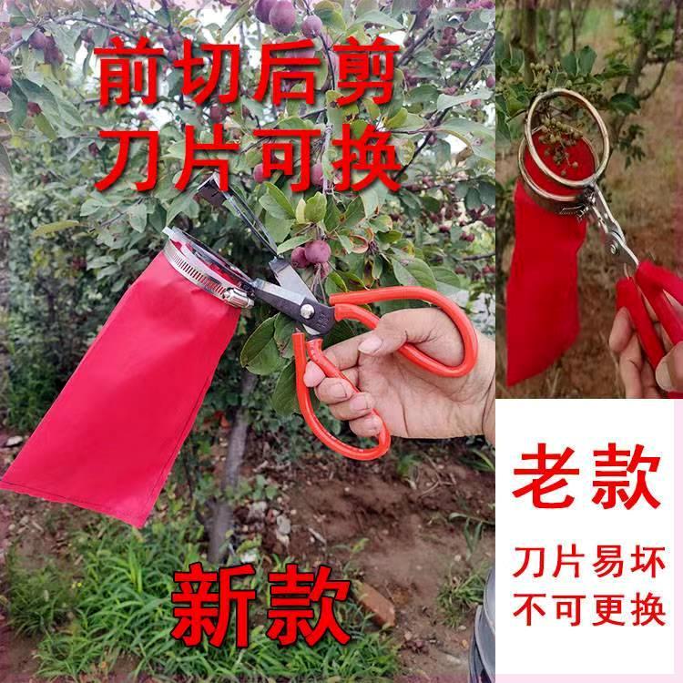 花椒采摘神器樱桃酸枣采摘工具专用剪刀摘花椒器农用家用果子神器