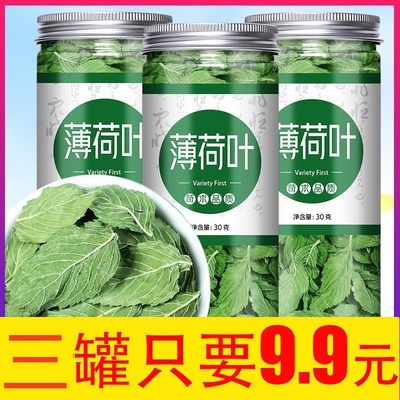 中药材纯天然薄荷500g克新鲜干货薄荷梗薄荷叶薄何茶药用食用泡水