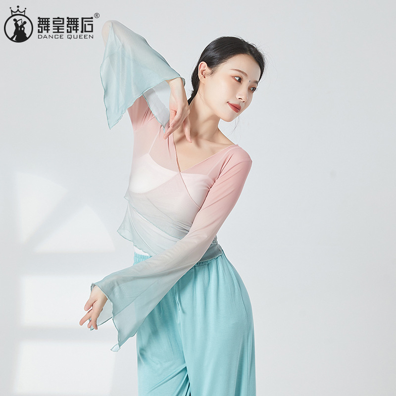 古典舞练功服纱衣舞蹈服女上衣