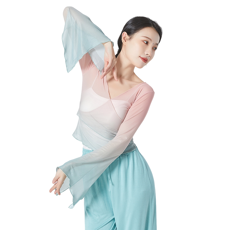 古典舞练功服纱衣舞蹈服女上衣