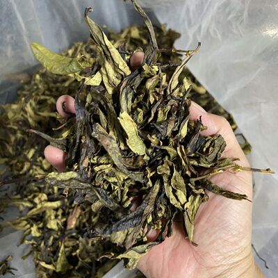 普宁惠来大坪土山茶 雪片潮汕高山茶500g散装浓香型 诏安八仙茶叶