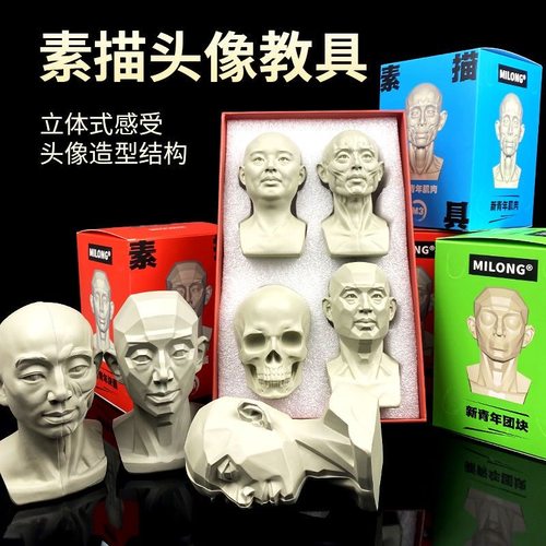 头像教具写生美术素描石膏像肌肉树脂静物