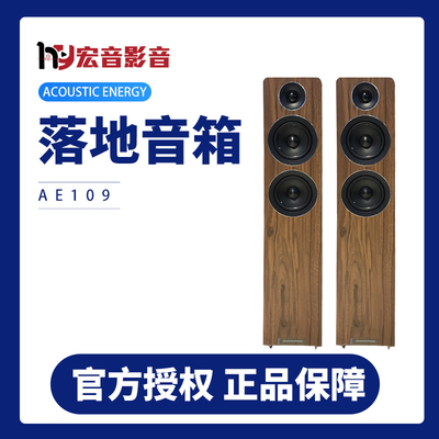 家用hifi木质发烧进口音响