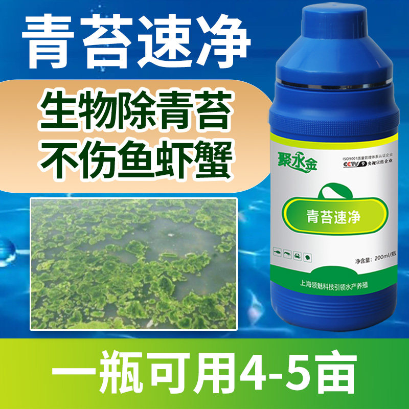 青苔净虾蟹鱼池青苔清除剂青苔分解酶一扫光水产杀青苔药一次净