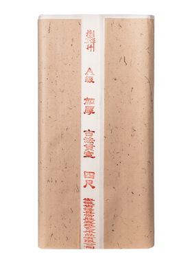 书法描红定制定制专拍族谱家谱本